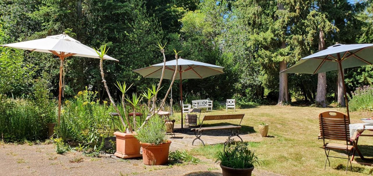 MaisonMazerand Cirey-sur-Vezouze Extérieur photo